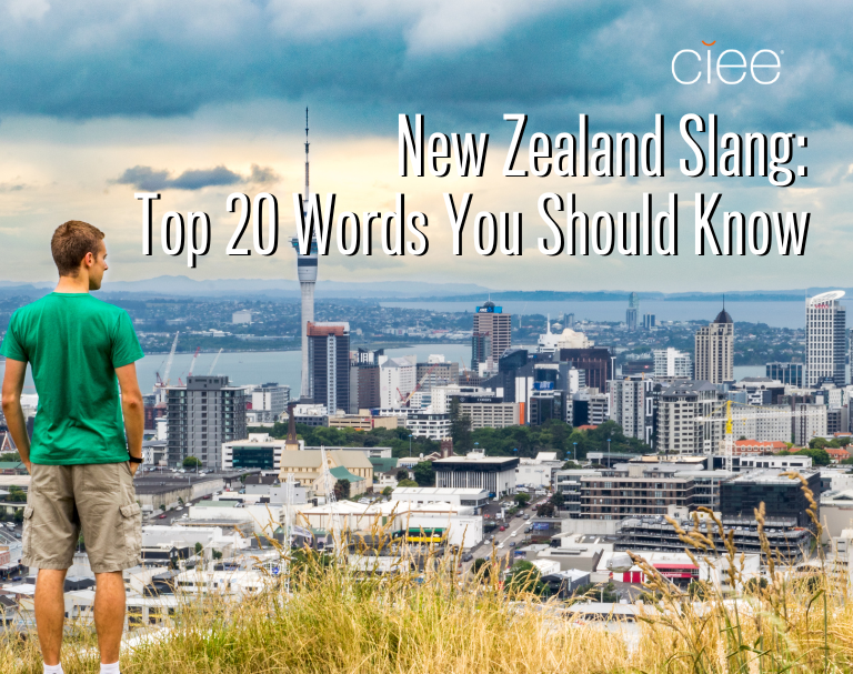 New Zealand Slang Words Top 20 Words You Should Know CIEE